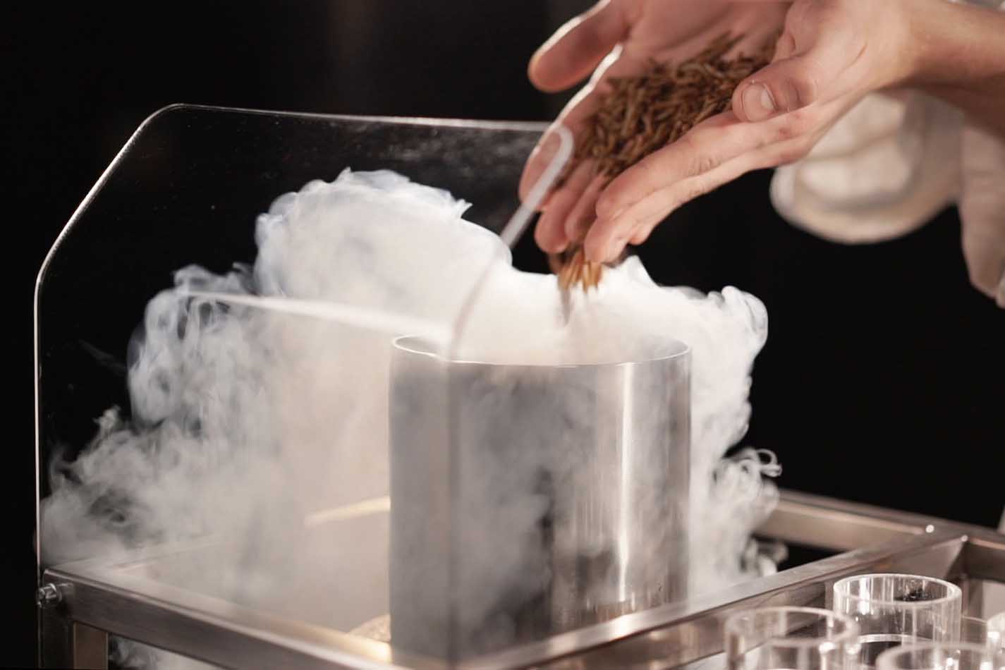 freezing insects with liquid nitrogen