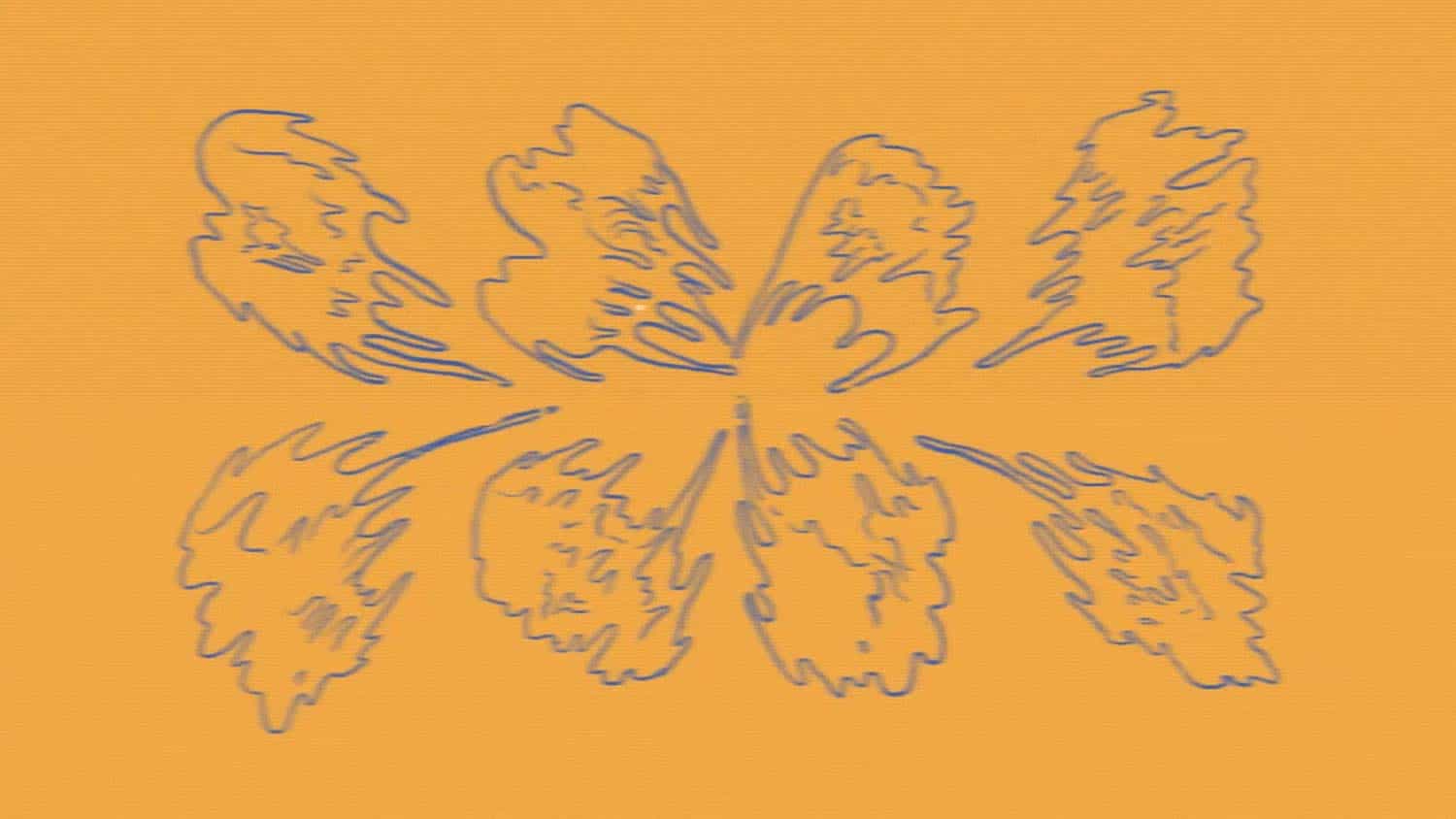 Slide 6