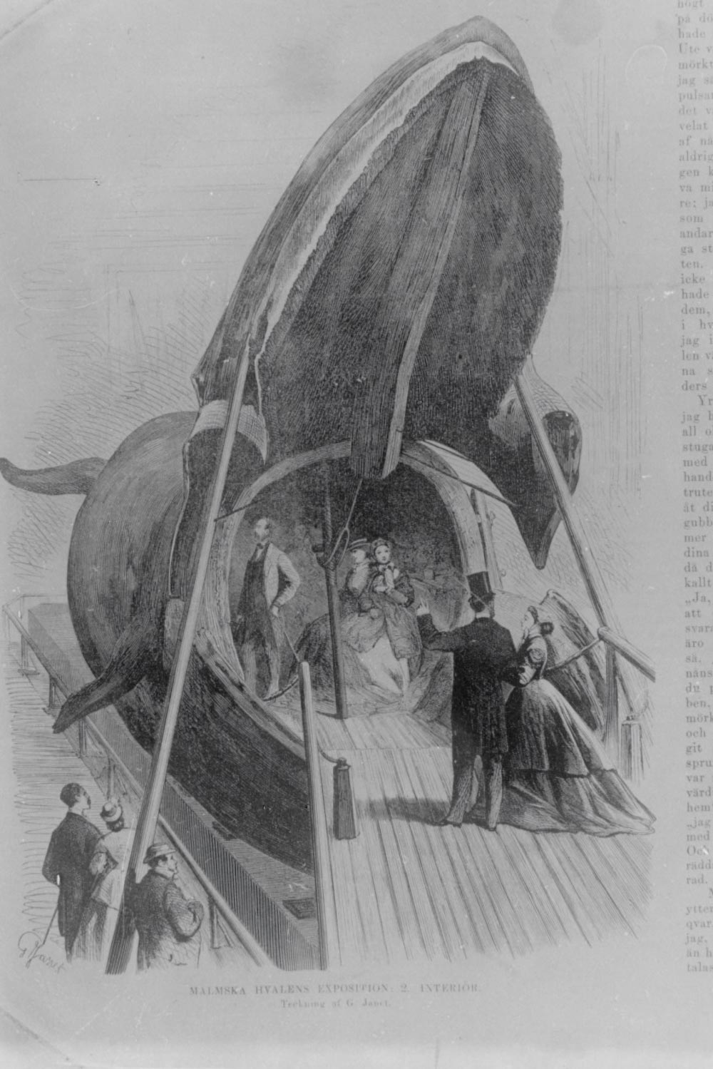 Vintage postcard featuring illustrated whale with text and graphics