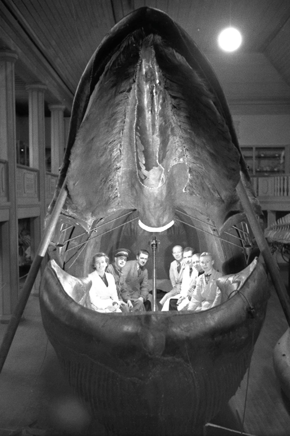 Historical photograph showing people laughing and sitting at a table inside a taxydermied whale