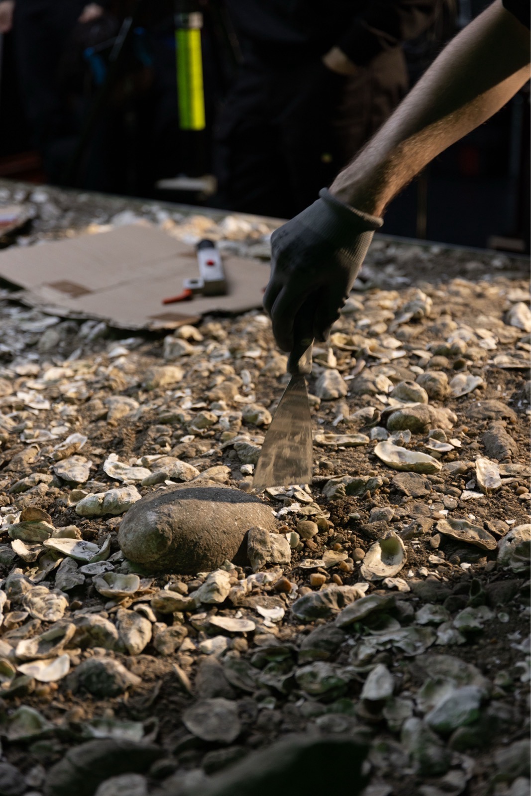 © Miriam Daxl a gloved hand preparing soil and stones with a metal spatula