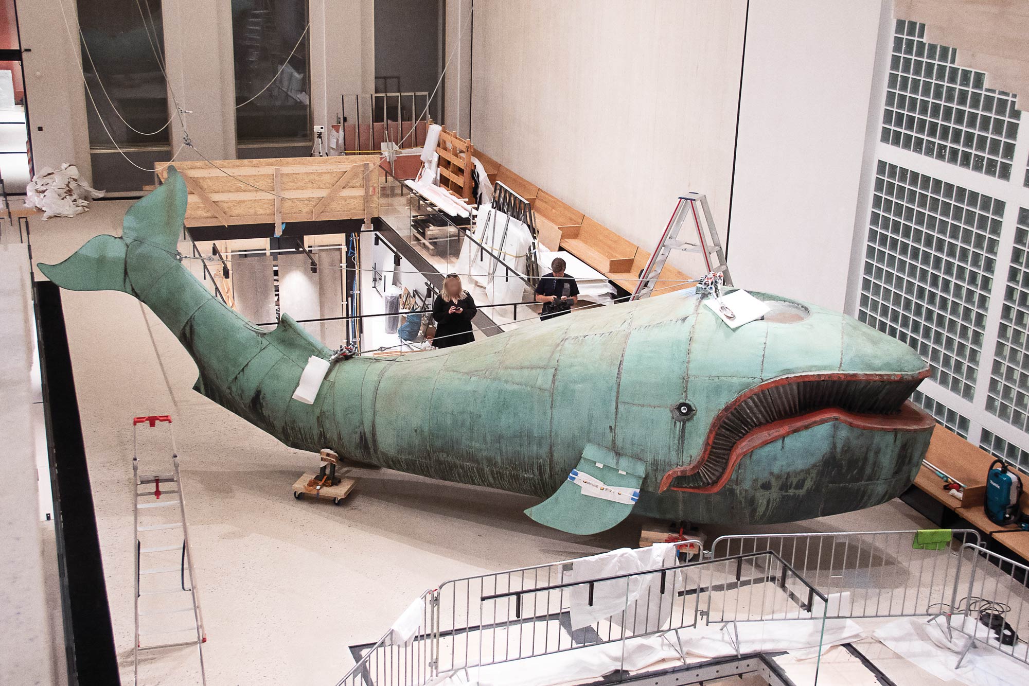 Exhibition installation showing Poldi whale in museum gallery space